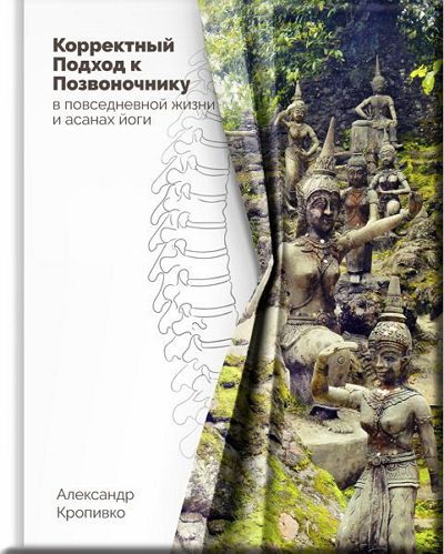 Корректный подход к позвоночнику в повседневной жизни и асанах йоги